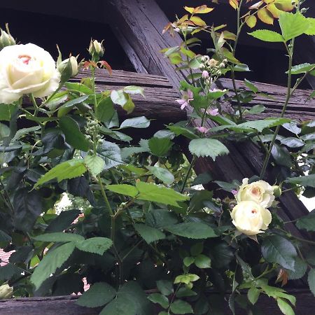 B&B Le Lodge Bourgheim Zewnętrze zdjęcie