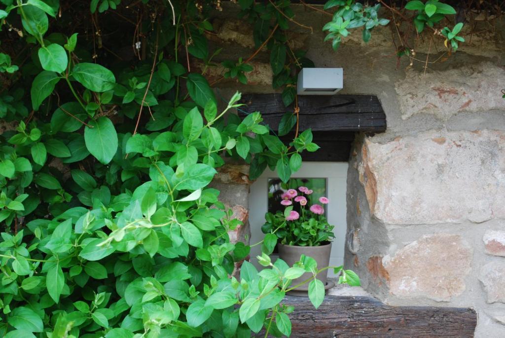 B&B Le Lodge Bourgheim Zewnętrze zdjęcie